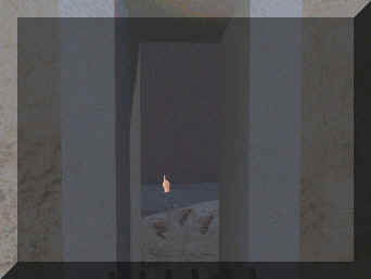 oies.gif